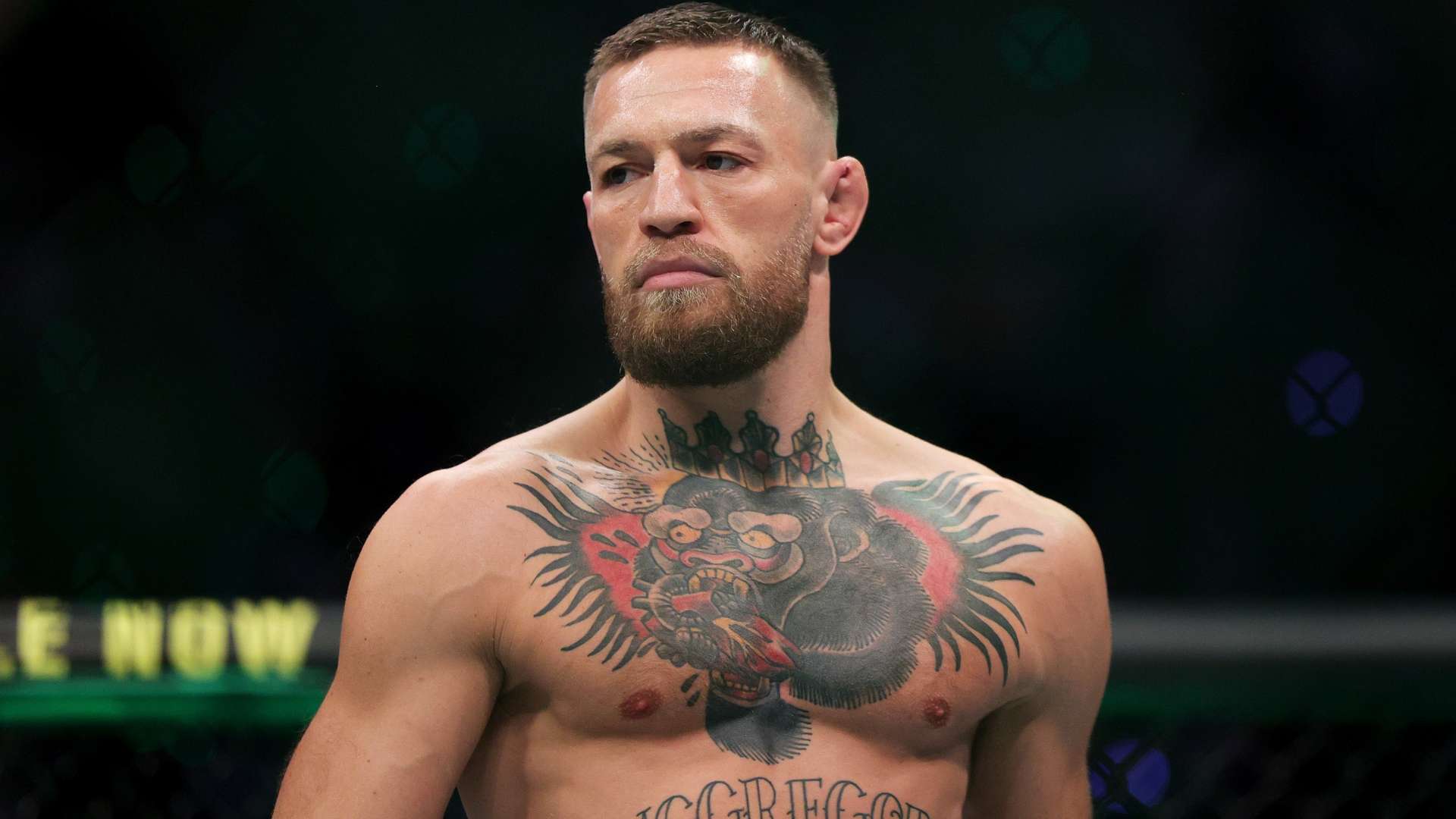 为球迷奉献 为球迷奉献