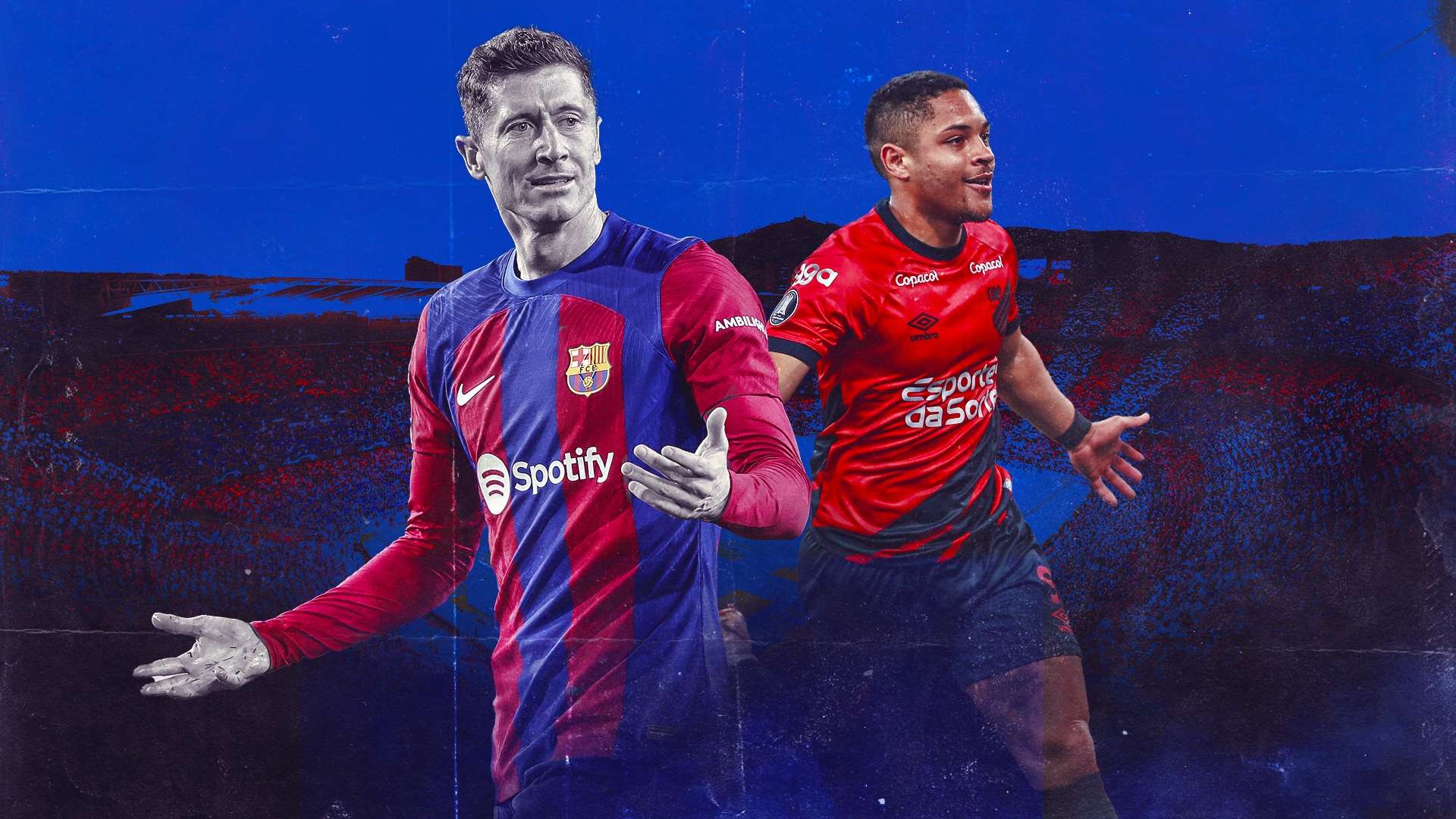 争性与观赏 争性与观赏