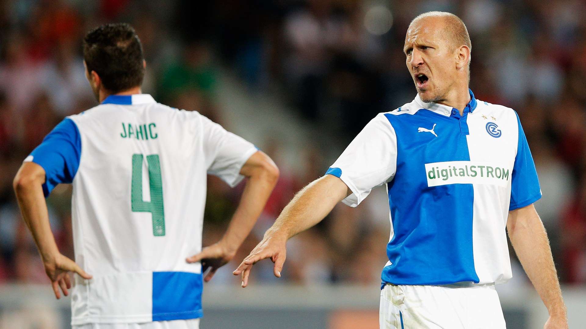 也为新星们 也为新星们